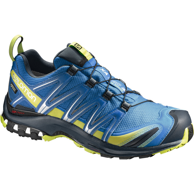 Salomon Singapore Mens Trail Running Shoes - XA PRO 3D GTX® Blue | 82016-VWOQ